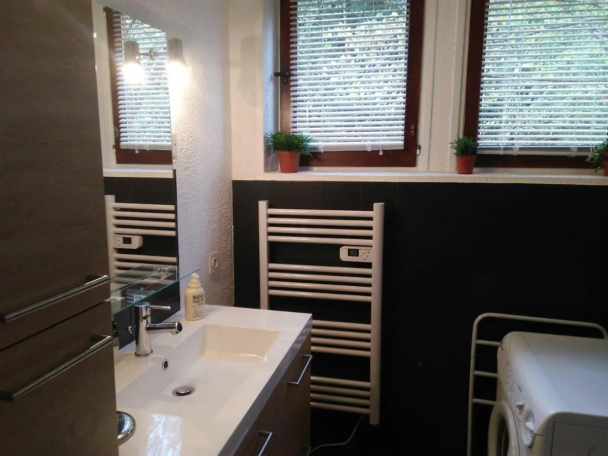 Appartement Le Grand Saule à Aston