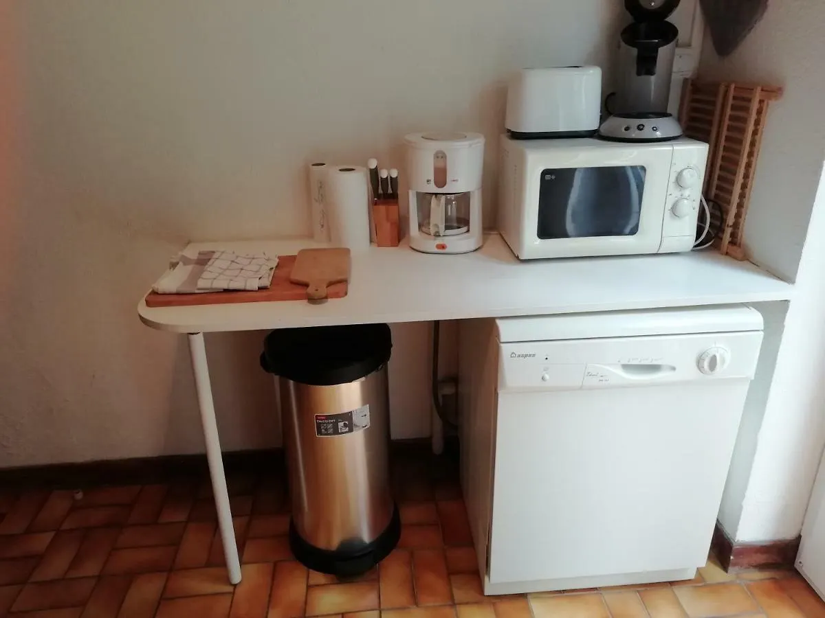 Appartement Le Grand Saule à Aston France